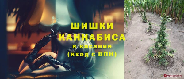 Альфа ПВП Аркадак