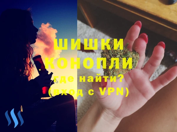 Альфа ПВП Аркадак