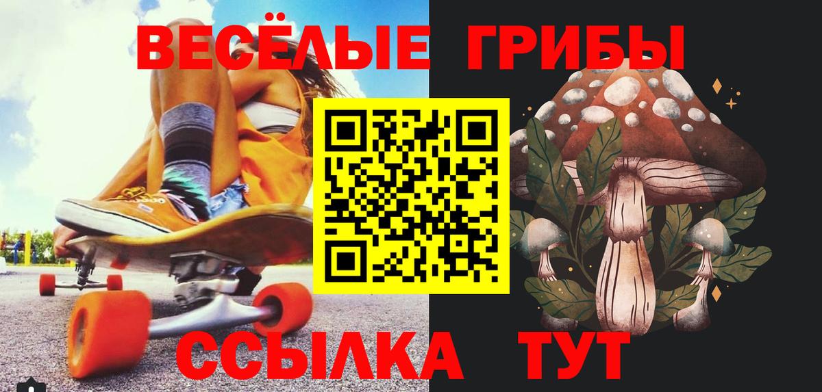 Галлюциногенные грибы Psilocybe  Псилоцибиновые грибы мухоморы  купить закладку  Вход с VPN  Мурманск 
